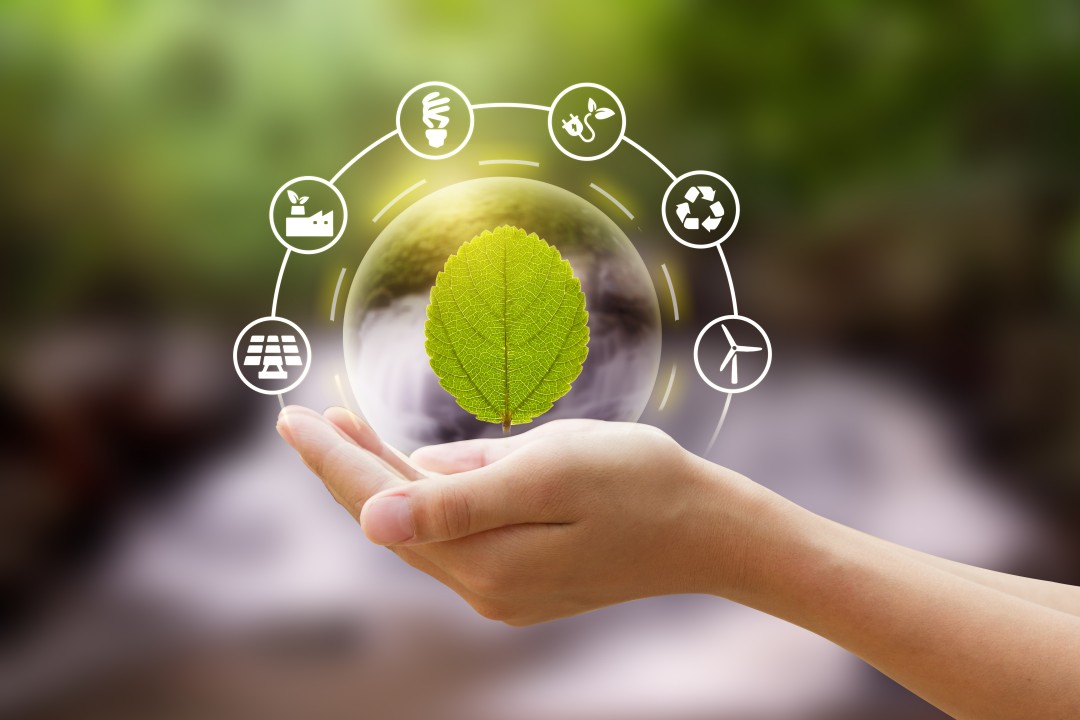 Bridging the Gap in Sustainability and ESG Education: A Requirement for Corporate Climate Ambition and Global Sustainability Goals